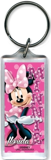 Picture of Disney Minnie Mouse Pink Polka Dot Lucite Keychain Florida Namedrop
