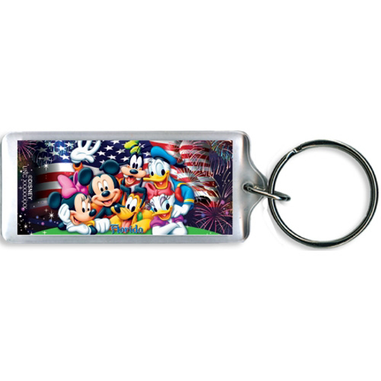 Picture of Disney Party in the Usa Mickey Minnie Pluto Goofy Donald Daisy Lucite Keychain, Florida Namedrop