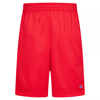 Picture of Champion Boy's 2 Pack Shorts