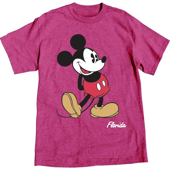 Picture of Disney Adult Womens T-shirt Mickey Mouse Head to Toe, Island Pink Heather