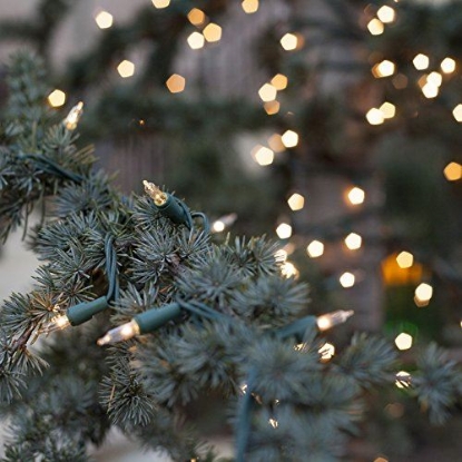 Picture of String-A-Long 100-Light Green Wire Clear String Light Set-GE-60216HD