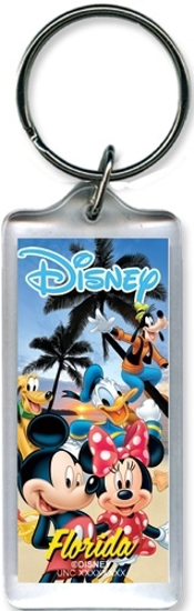 Picture of Disney Beach Party Mickey Minnie Donald Goofy Pluto Lucite Keychain (Florida Namedrop)