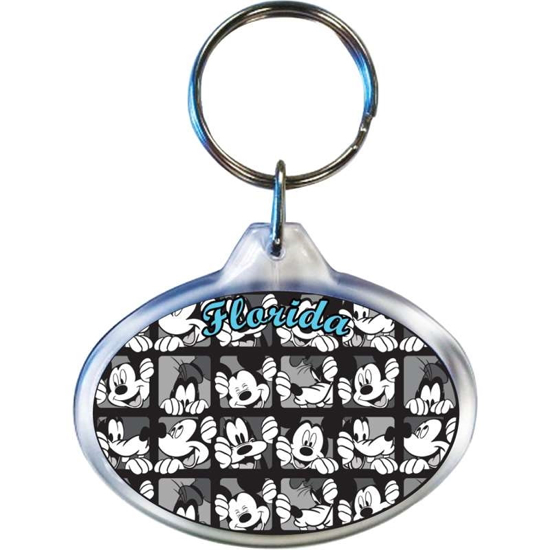 Picture of Disney Mickey Goofy Squares Oval Keychain