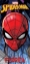 Picture of Marvel Spiderman Face Beach Webb City Beach Towel Florida Name Drop