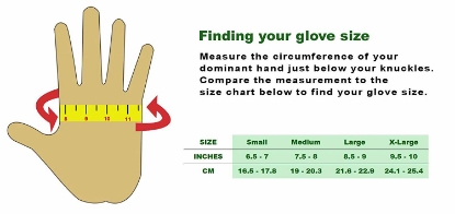 Picture of Disposable Vinyl Gloves Non-Sterile Powder Free Smooth Touch Food Service Grade 200 pack Large Size