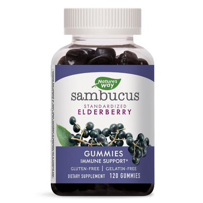 Picture of Natures Way Sambucus Elderberry Herbal Supplement Gummies Gluten Free 120 ct