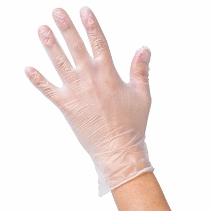 Picture of Berkley Jensen Disposable Vinyl Gloves 200 ct Clear  Large