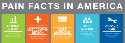 Picture of Berkley Jensen Extra Strength Pain Reliever 500 ct