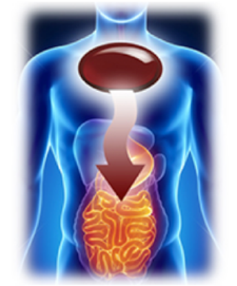 Picture of Kirkland Signature Krill Oil 500 mg 160 Softgels