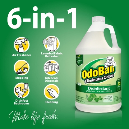 OdoBan Odor Eliminator and Disinfectant Concentrate Eucalyptus Scent 1 pak