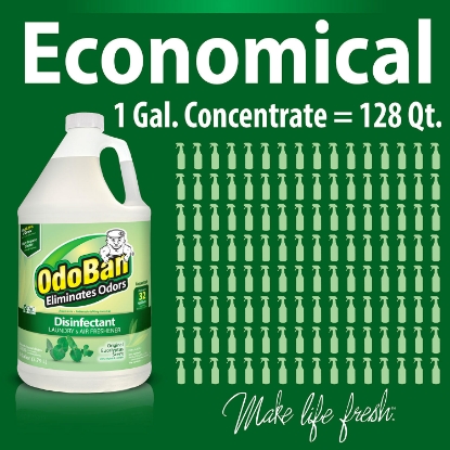 OdoBan Odor Eliminator and Disinfectant Concentrate Eucalyptus Scent 1 pak