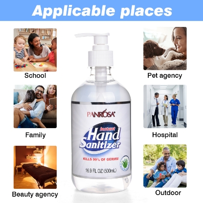 Panrosa Alcohol Instant Hand Sanitizer 1 Count of 16.9oz 500ML