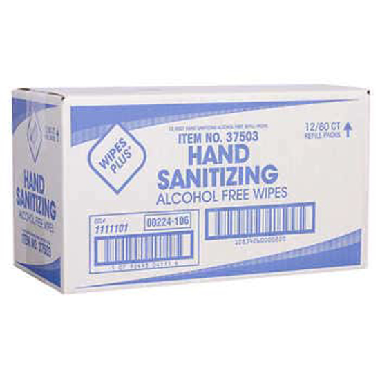 WipesPlus Hand Sanitizing Wipes, 80 Wipes, 12-count