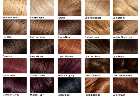 Picture for category Hair Color
