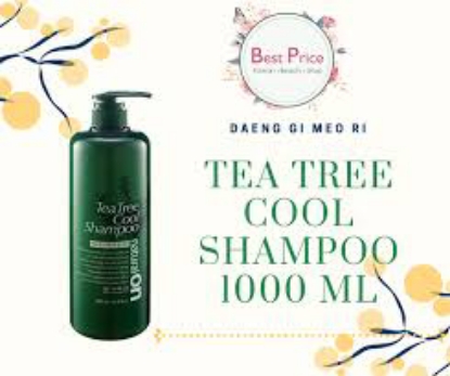 Daeng Gi Meo Ri NaturalOn Tea Tree Cool Shampoo and Treatment 1000 ml.  2 pk