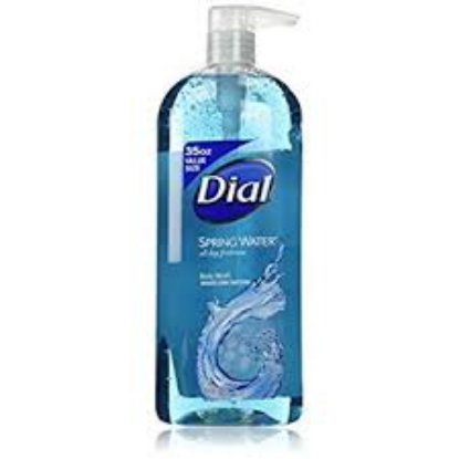Dial Body Wash, Spring Water 35 fl. oz. 2 pk.