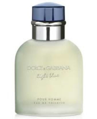 D&G Men's Light Blue by Dolce & Gabbana 4.2 oz.