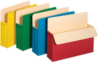 Member's Mark Color File Pockets Letter 10 PK