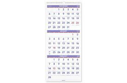 AT A GLANCE Vertical Format Three Month Reference Wall Calendar 12 x 27 2021
