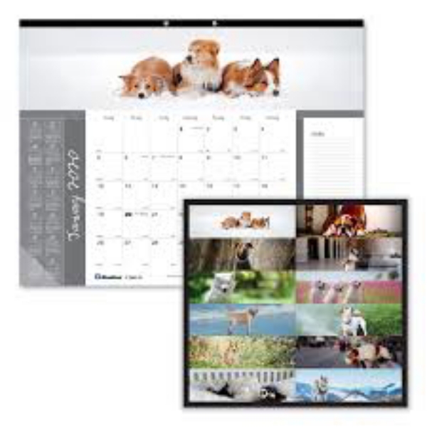Blueline Pets Collection Monthly Desk Pad 22 x 17 Puppies 2021