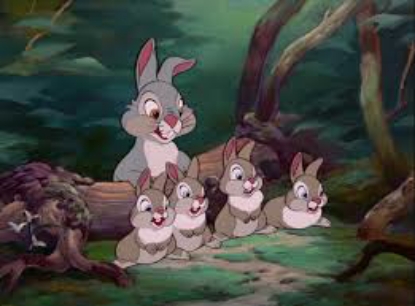 Disney Bunnies All Ears