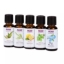 NOW Plant Defense Essential Oils Kit 1 fl. oz. 5 pk.