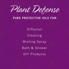 NOW Plant Defense Essential Oils Kit 1 fl. oz. 5 pk.
