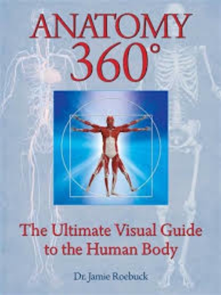 Anatomy 360 The Ultimate Visual Guide to the Human Body