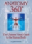 Anatomy 360 The Ultimate Visual Guide to the Human Body