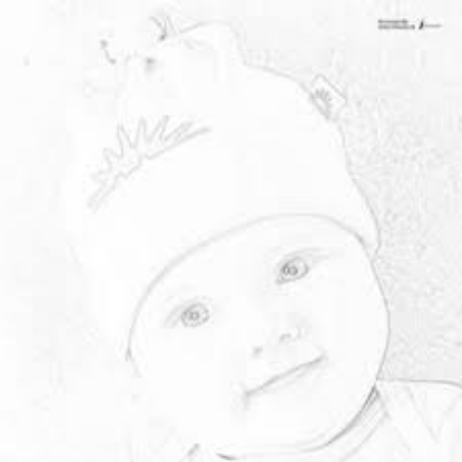 Sketch Plus Nature's Beauty