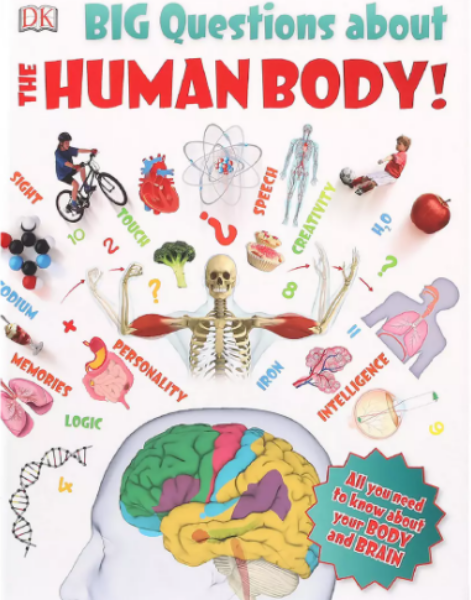 Big Questions About The Human Body