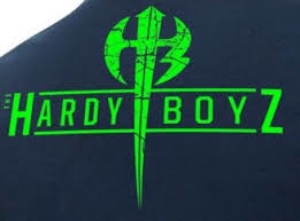 Picture for manufacturer The Hardy Boys Collection