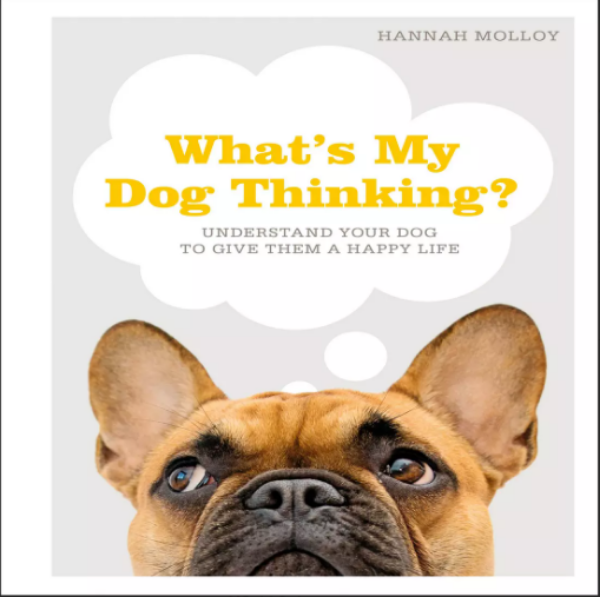 What's My Dog Thinking Understand Your Dog to Give Them a Happy Life