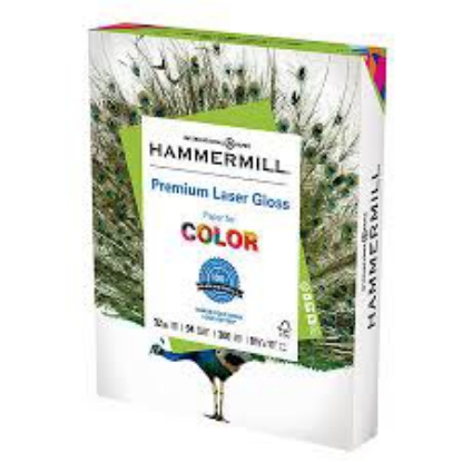 HP Advanced Glossy 4 x 6 125 Sheet Photo Paper 9JF90A