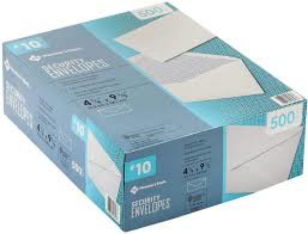 Member's Mark Security Envelope 10 500 ct