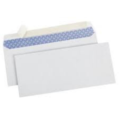 Member's Mark Security Envelope 10 500 ct