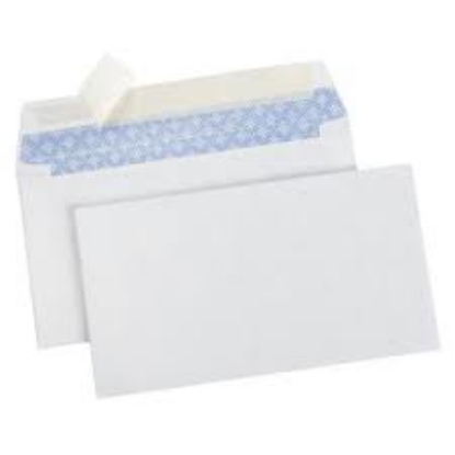 Member's Mark Security Envelope 6 3 4 500 ct