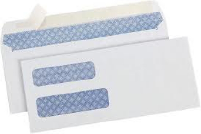 Member's Mark Security Envelope 6 3 4 500 ct