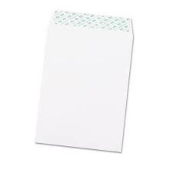 Quality Park Redi Strip Catalog Envelope 9 x 12 White 100 Box