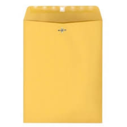 Member's Mark Clasp Envelope 10 x 13 150 ct