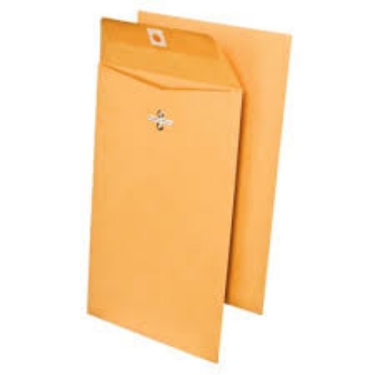 Member's Mark Clasp Envelope 6 x 9 150 ct