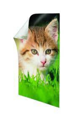 Command Poster Strips Small White 48ct