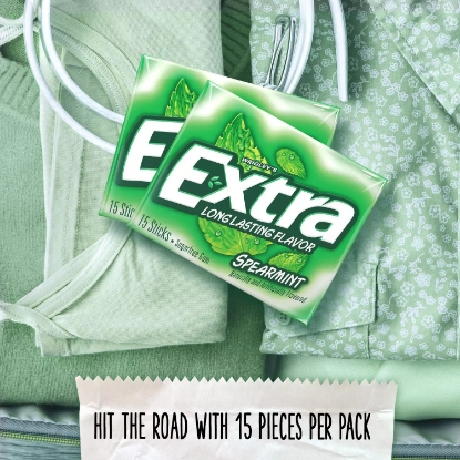 Extra Spearmint Sugar Free Chewing Gum 15 ct 12 pks
