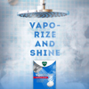 Vicks VapoShower Shower Tablet Shower Bomb Aromatherapy Vapors 9 ct