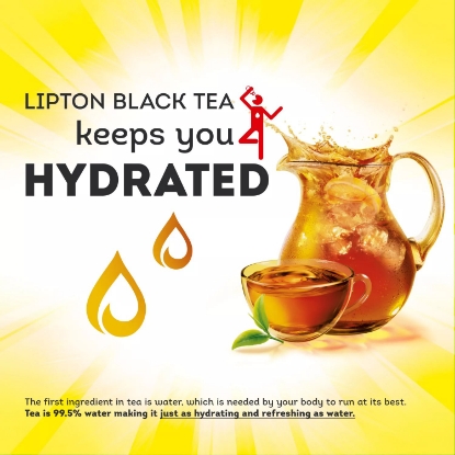 Lipton Iced Tea Gallon Size Tea Bags 48 ct