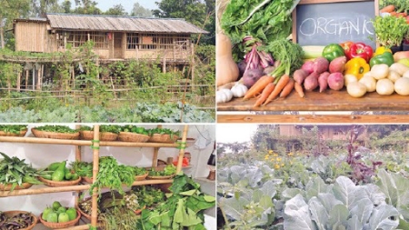 Picture for category Organic