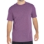 Eddie Bauer Men's Short Sleeve Active Tee