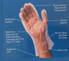 Picture of Clean Ones Polyethylene Disposable Gloves, One Size, 2000 ct