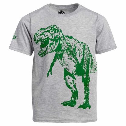 Jurassic World Kids 4 pack Tee