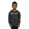 Picture of Champion Youth French Terry Pullover Hoodie